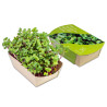 Mini potager en papier bambou