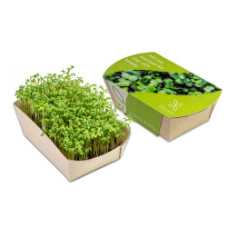Mini potager en papier bambou