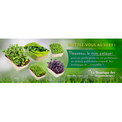 Mini potager en papier bambou