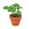 Mini-pot de terre cuite fourreau "fleur"