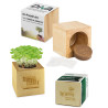 Pot cube en bois - mini bois d'Aulne