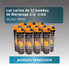Lot carton 12 Bombes de Marquage temporaire 30 jours- un carton 12 - Couleur unique