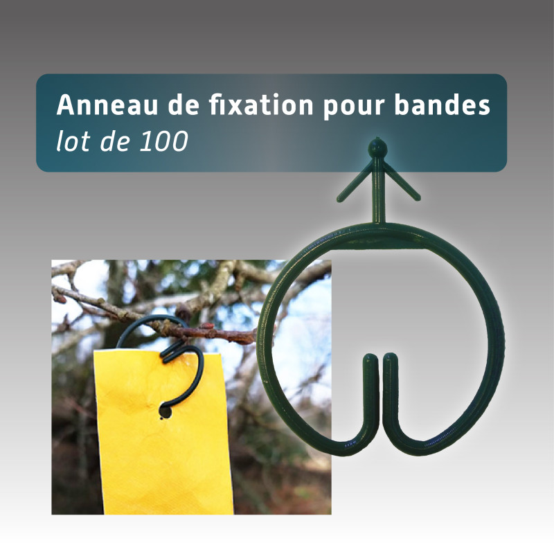 Anneau pour bande de rubalise réutilisable - lot de 100