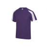 Tee shirt polyester bi color