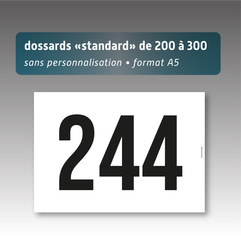 dossard sans perso de 200 a 300