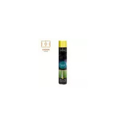 Bombe de marquage tracing sport peinture temporaire pour gazon - 3 à 6 mois - 6 coloris