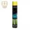 Bombe de marquage tracing sport peinture temporaire pour gazon - 3 à 6 mois - 6 coloris
