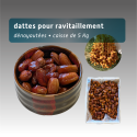 Dattes dénoyautées pour ravitaillement sportif – Énergie naturelle et performante