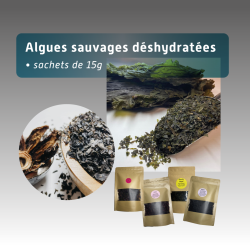 Algues sèches de Bretagne – Kombu Royal, Dulse, Nori | Nutrition Sportive