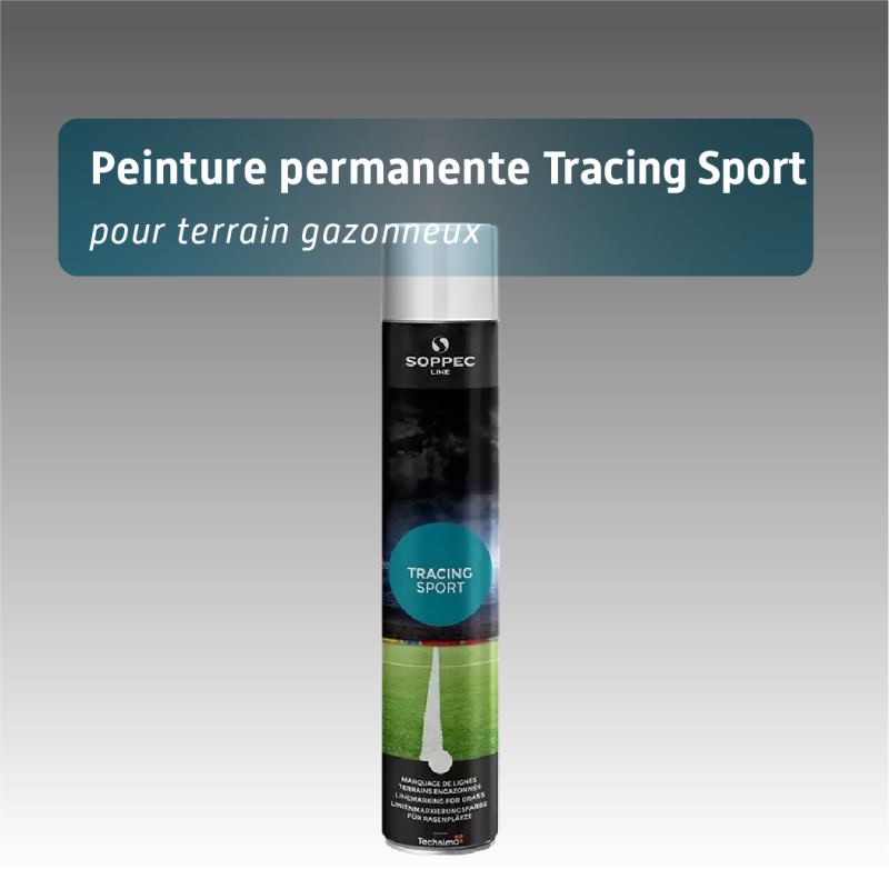 Bombe de marquage tracing sport peinture temporaire pour gazon - 3 à 6 mois - 6 coloris