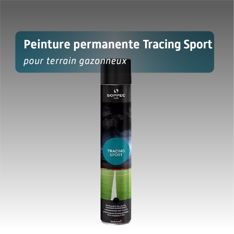 Bombe de marquage tracing sport peinture temporaire pour gazon - 3 à 6 mois - 6 coloris