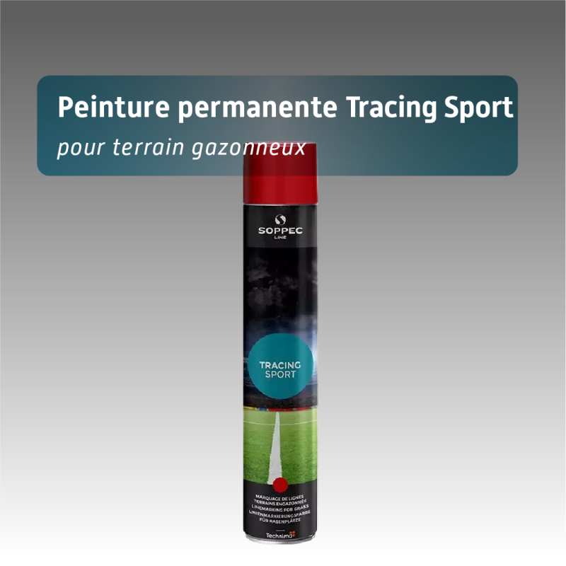 Bombe de marquage tracing sport peinture temporaire pour gazon - 3 à 6 mois - 6 coloris
