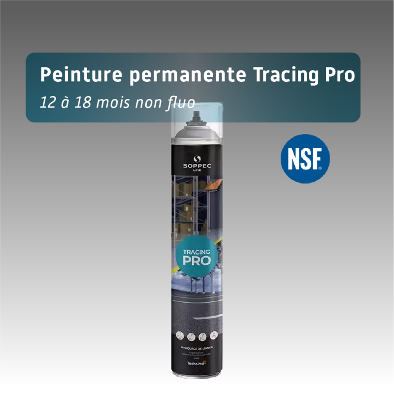 Destockage : Bombe de marquage tracing pro peinture permanente - lignes de signalisation - 12 à 18 mois - 7 coloris
