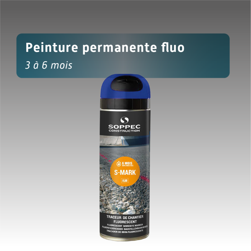 Bombe de Marquage Permanente Fluo 500 ml - 3 à 6 Mois - 7 Coloris