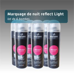 Bombe de peinture de marquage de nuit pour la sécurité de nuit