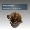 Paille à boire en seigle - réutilisable 19cm - lot de 100