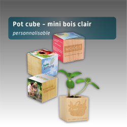 Pot cube en bois - mini bois clair
