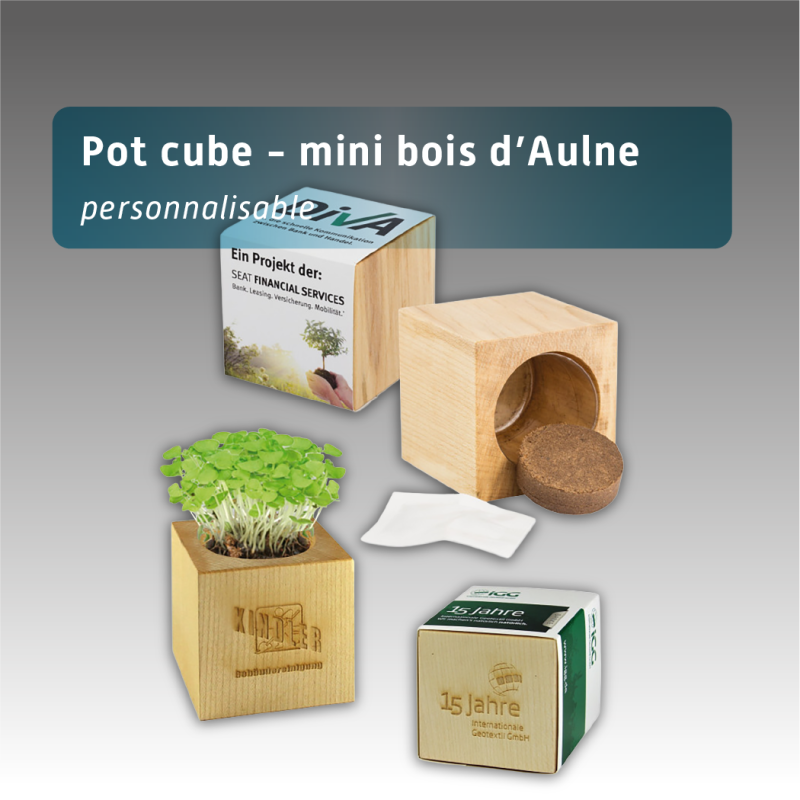 Pot cube en bois - mini bois d'aulne