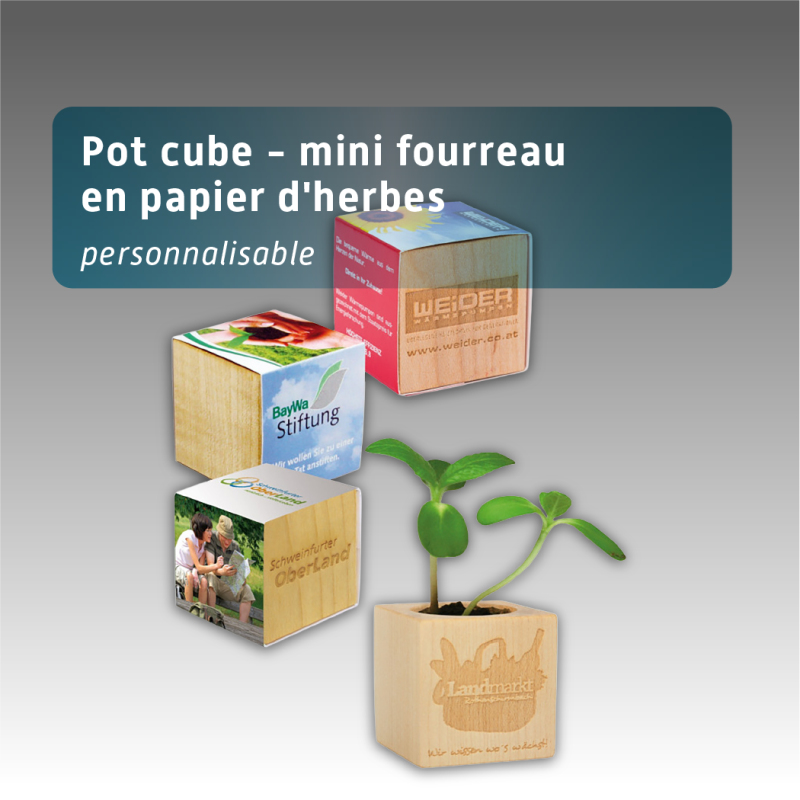 Pot cube en bois - mini fourreau en papier d'herbes