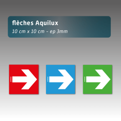 Flèche aquilux 10*10cm